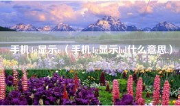 手机4g显示e（手机4g显示hd什么意思）