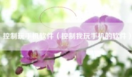 控制玩手机软件（控制我玩手机的软件）