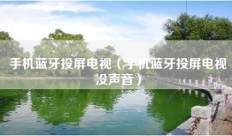 手机蓝牙投屏电视（手机蓝牙投屏电视没声音）