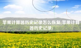 苹果计算器历史记录怎么恢复(苹果计算器历史记录)
