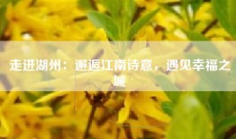走进湖州：邂逅江南诗意，遇见幸福之城