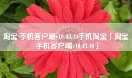 淘宝 手机客户端v10.43.40手机淘宝「淘宝 手机客户端v10.43.40」