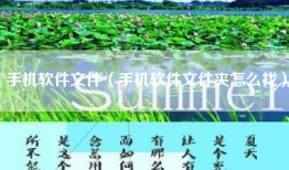 手机软件文件（手机软件文件夹怎么找）