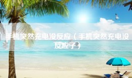 手机突然充电没反应（手机突然充电没反应了）