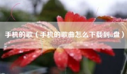 手机的歌（手机的歌曲怎么下载到u盘）