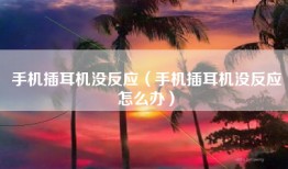 手机插耳机没反应（手机插耳机没反应怎么办）