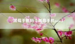黑莓手机码（黑莓手机pass）