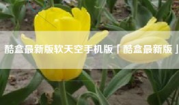 酷盒最新版软天空手机版「酷盒最新版」