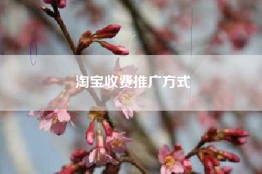 淘宝收费推广方式