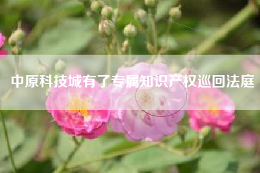 中原科技城有了专属知识产权巡回法庭