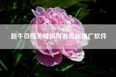 超牛百度关键词排名优化推广软件