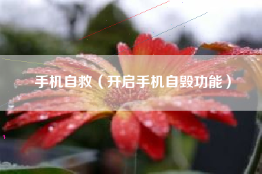 手机自救（开启手机自毁功能）