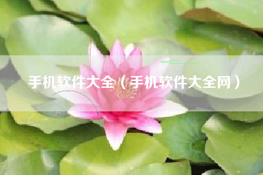 手机软件大全（手机软件大全网）