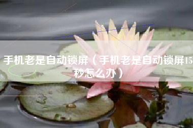 手机老是自动锁屏（手机老是自动锁屏15秒怎么办）