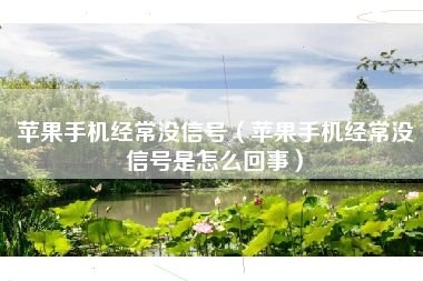 苹果手机经常没信号（苹果手机经常没信号是怎么回事）