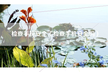 检查手机安全（检查手机安全吗）