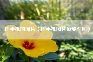 摔手机的图片（摔手机图片搞笑斗图）
