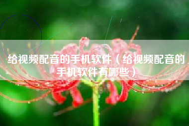 给视频配音的手机软件（给视频配音的手机软件有哪些）