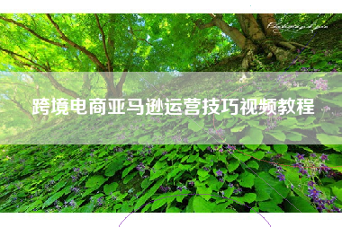 跨境电商亚马逊运营技巧视频教程