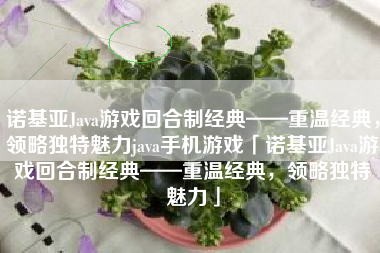 诺基亚Java游戏回合制经典——重温经典，领略独特魅力java手机游戏「诺基亚Java游戏回合制经典——重温经典，领略独特魅力」