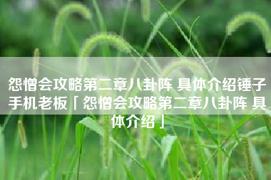 怨憎会攻略第二章八卦阵 具体介绍锤子手机老板「怨憎会攻略第二章八卦阵 具体介绍」